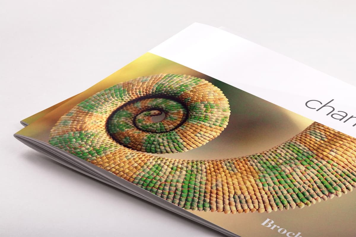 宣传小册子排版设计模板 Chameleon Free InDesign Brochure Template插图