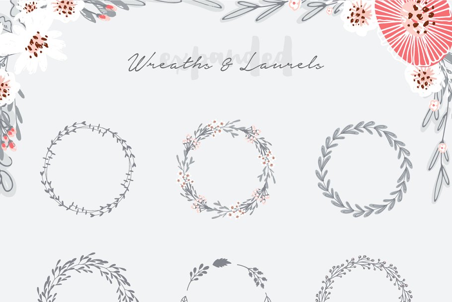 手绘花卉插画元素合集 Hand Drawn Floral Kit插图(3)