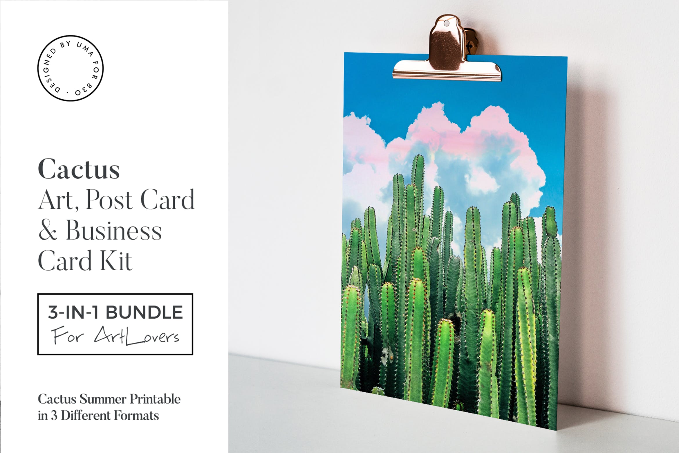 夏日仙人掌水彩艺术办公文具设计套装 Cactus Summer Art & Stationary Kit插图