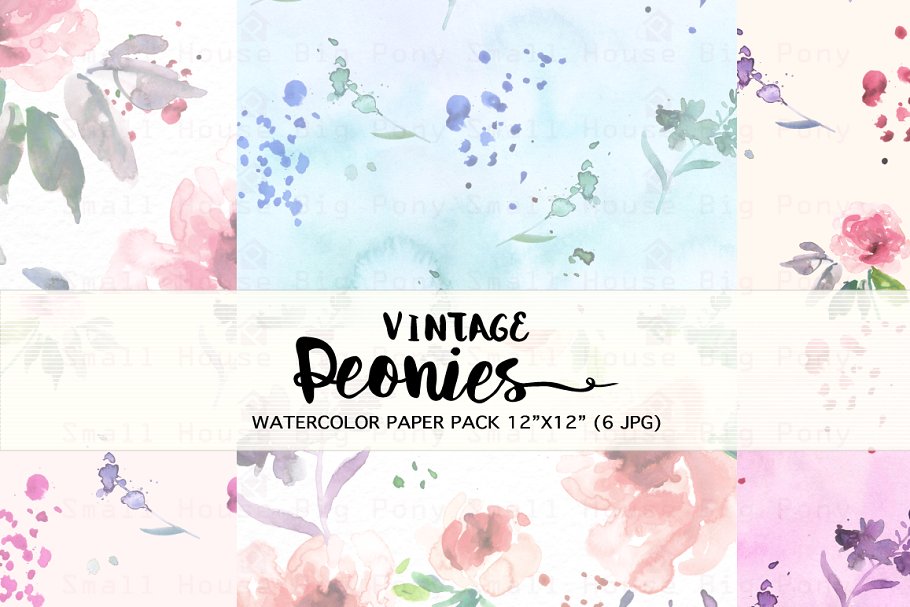 特色复古水彩牡丹剪贴插画素材合集 Vintage Peonies- Watercolor Clip Art插图(3)