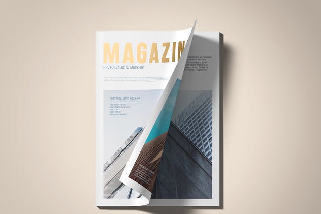 A5规格箔烫印杂志样机 A5 Foil Stamping Magazine Mock-Up插图(11)