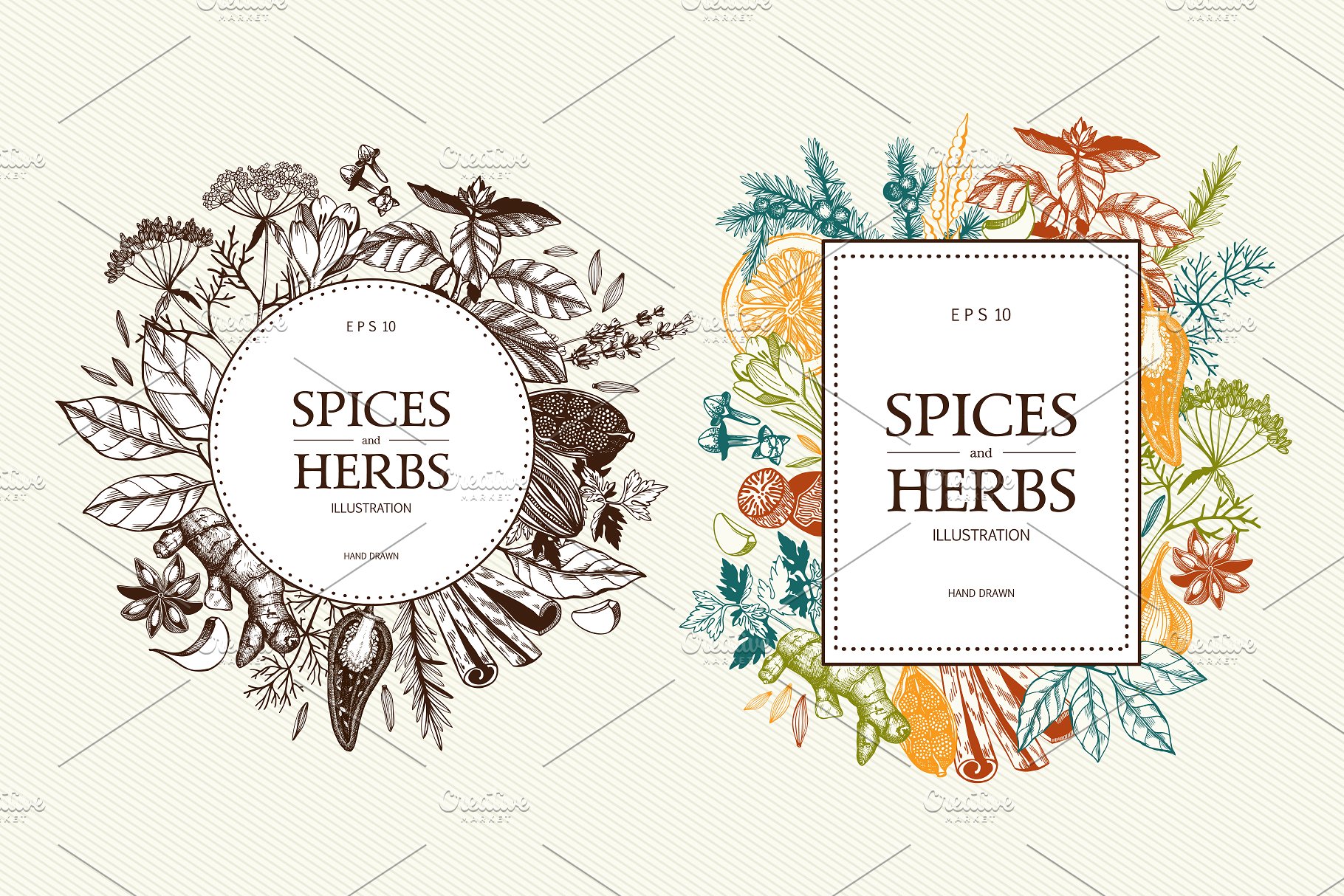 厨房香料及香草矢量插画 Vector Kitchen Spice & Herbs Set插图(7)