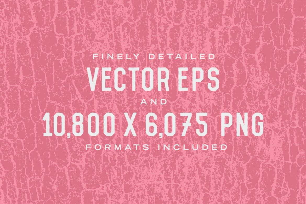 5款逼真树皮纹理肌理矢量背景素材 Tree Bark Textures插图(2)