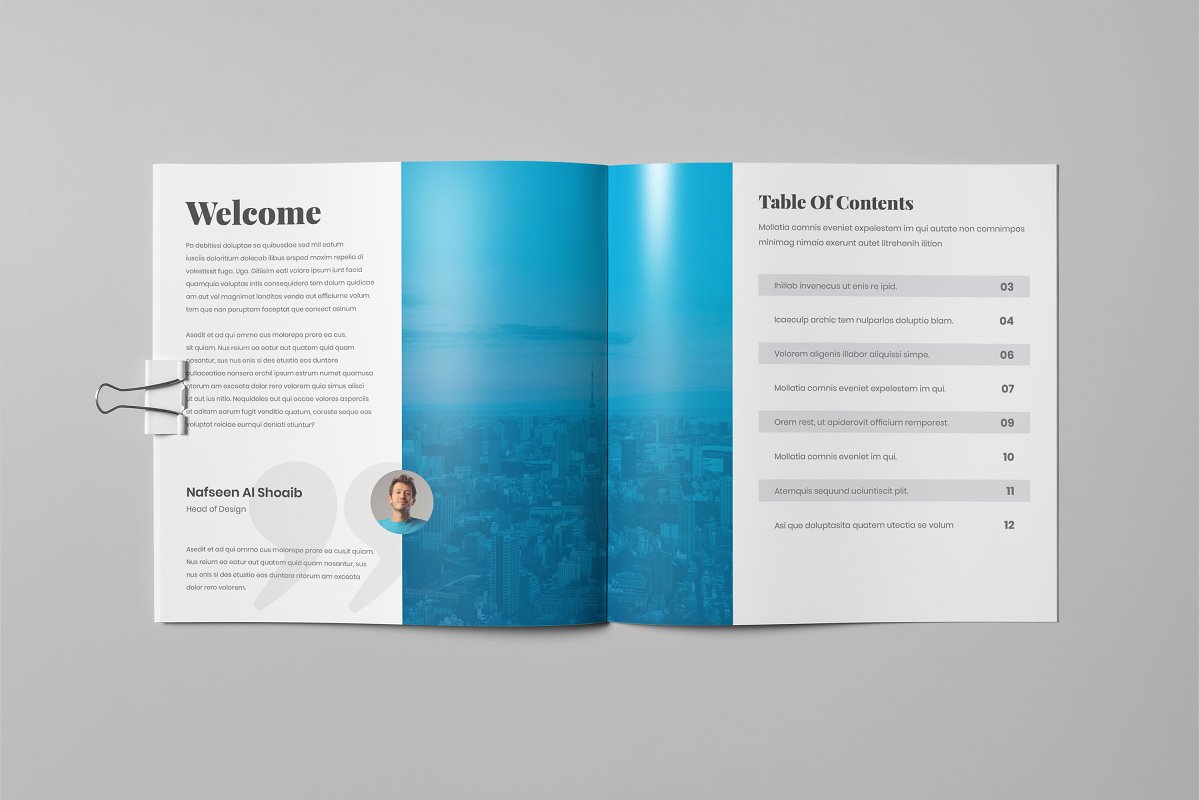 企业简约高效宣传册设计模板插图(3)