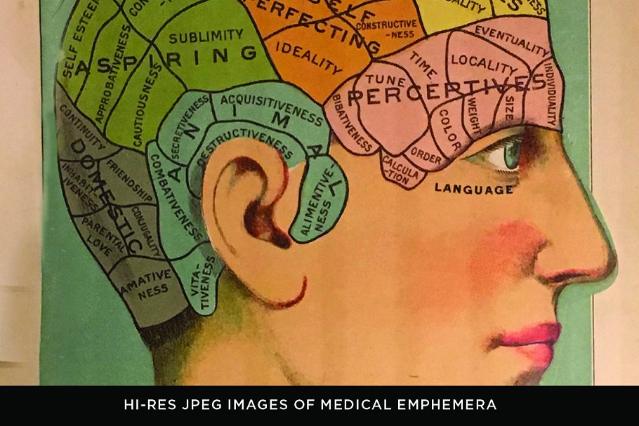 旧时代解剖医学插图素材 Medical Art | 110 EPS, PNG and JPG’s插图(12)