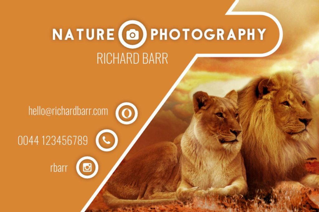 一组免费摄影师的名片模板下载[eps,psd,svg,png]插图