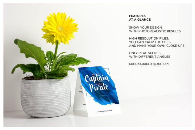 贺卡/邀请函样机模板 Greeting Card  / Invitation Mockup插图(2)