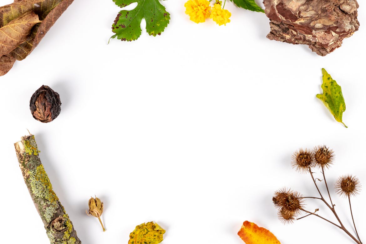 带有秋天秋季树叶落叶场景的海报宣传单DM设计VI样机展示模型mockups插图(2)