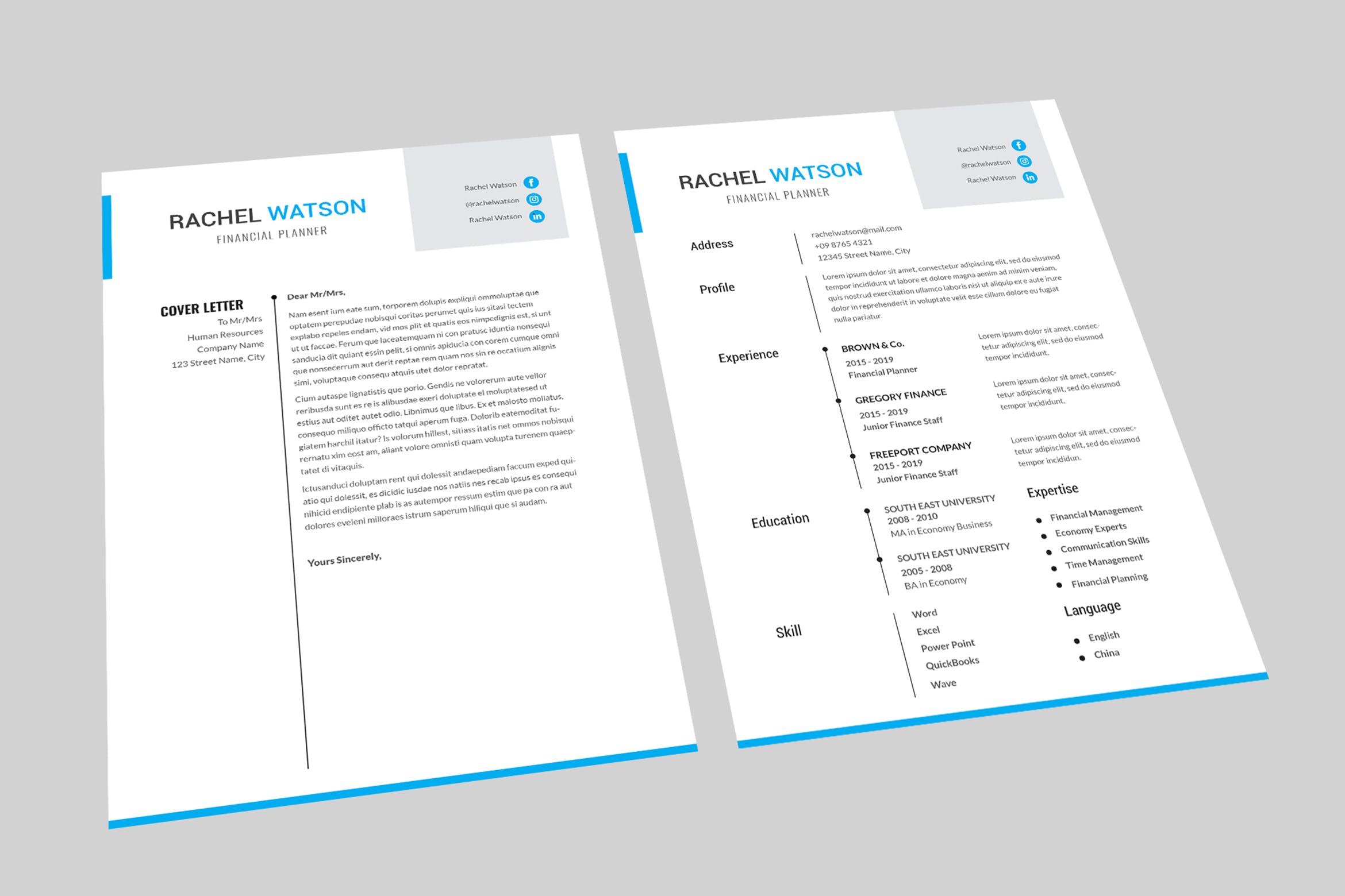 理财规划师个人简历表设计模板 Financial Planner Resume Designer插图