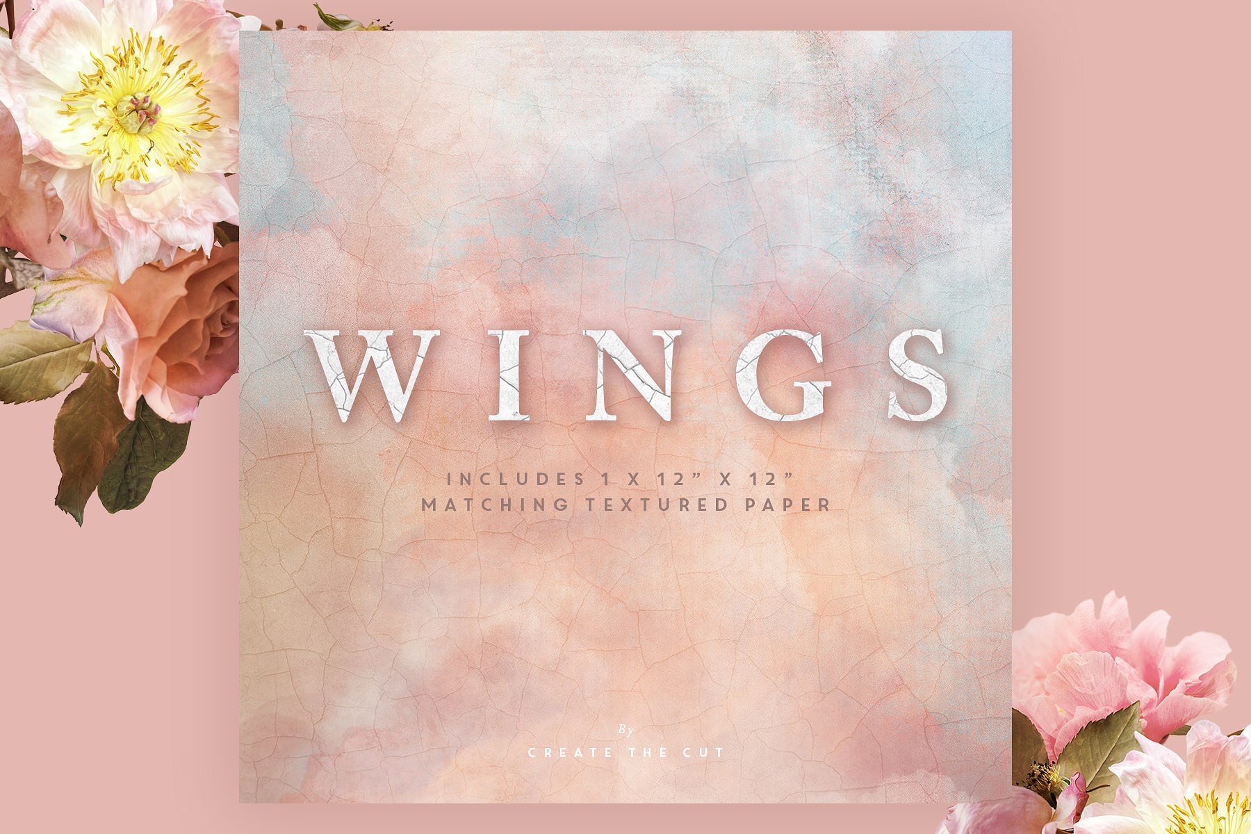 数字手绘粉色绽放牡丹插画 Digital Flower Clip Art – Wings插图(8)