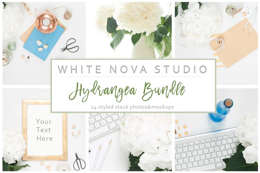 八仙花装饰工作场景样机 Hydrangea Workplace Bundle插图