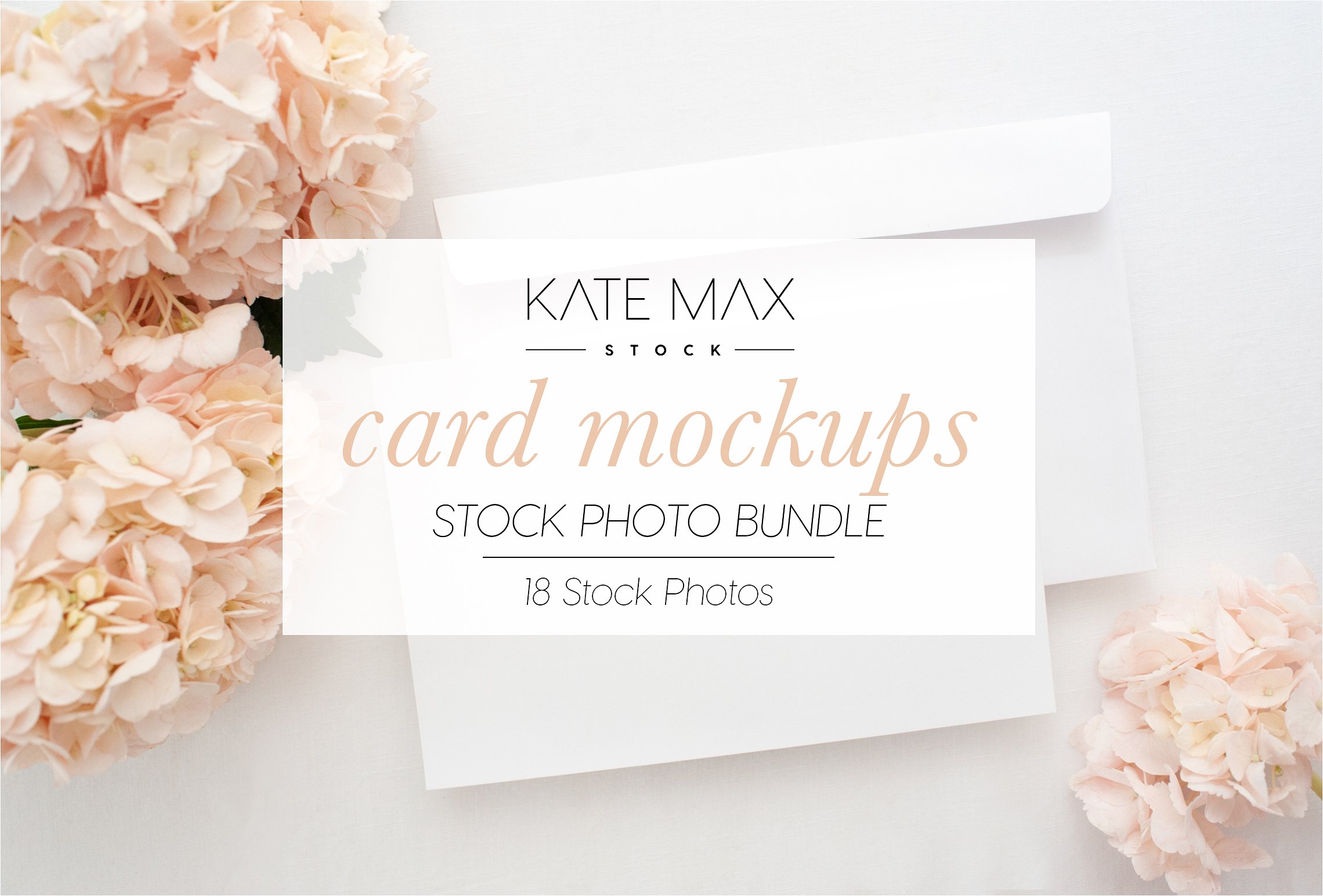 华丽的粉红绣球花便签卡片样机模板 Blush Card Mockups Bundle插图