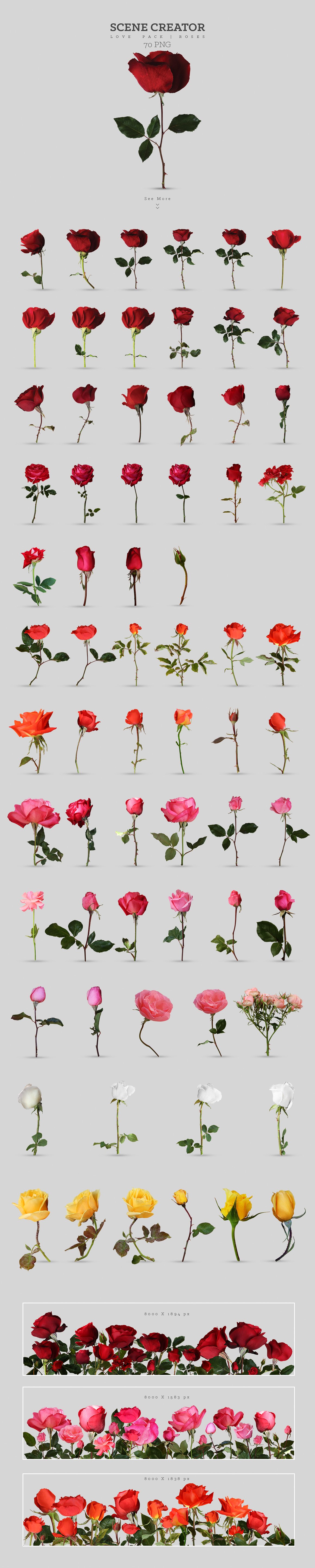 浪漫爱情(情人节)玫瑰花素材大合集1.6G[psd,eps,png]插图(2)