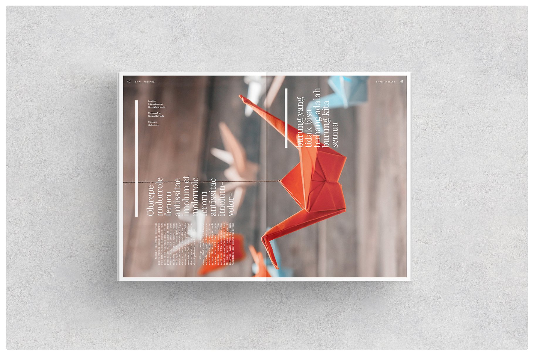 超级名模时尚服饰杂志模板 Magazine插图(8)