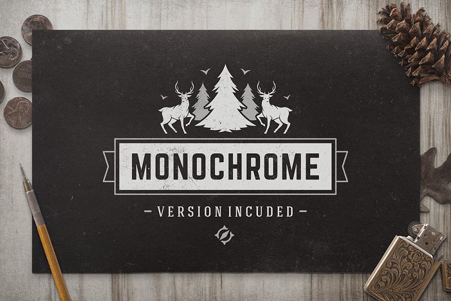 280个户外品牌Logo标志和徽章模板 280 Outdoor logos and badges插图(8)