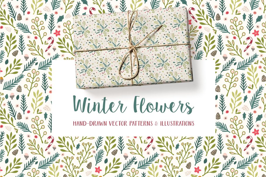 冬天圣诞节节日主题花卉图案纹理 Winter Flowers Christmas Patterns插图