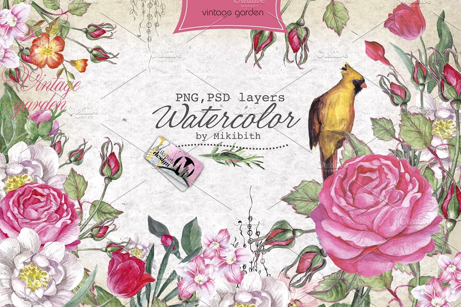 水彩元素插画大礼包[2.67GB] Over 120PNG watercolors插图(4)