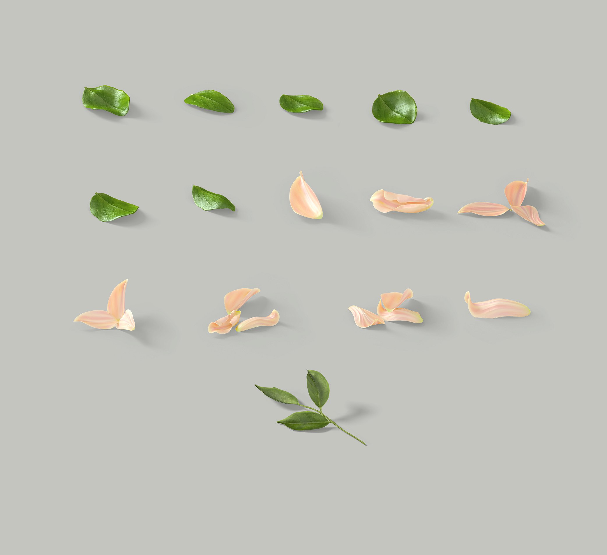 8.3GB超容量女性小物样机素材 Girly Stationery Mockup Creator（高清实物元素+场景样机）插图(19)