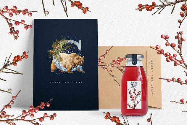 圣诞冬季仙境主题设计师工具包 Winter Wonderland Designer Toolkit插图(9)