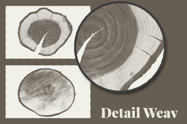 复古木纹年轮纹理套装 Wood Texture Pack 0.2插图(3)
