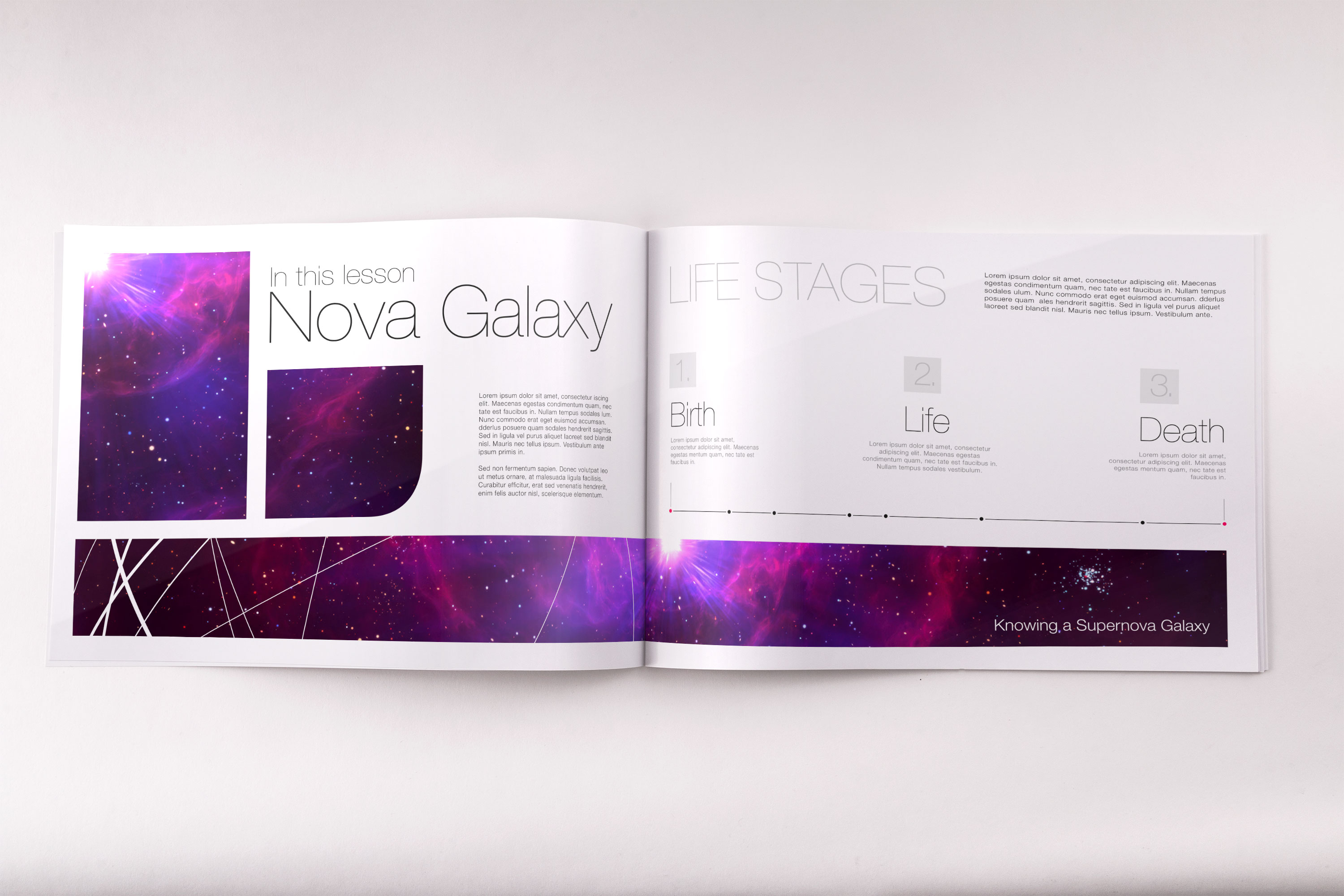 软封面企业产品目录内页版式设计PSD样机06 Softcover Landscape Catalog PSD Mockup 06插图