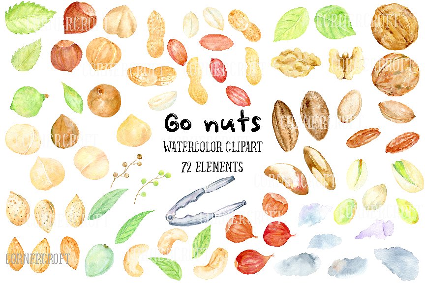 手绘卡通化水彩坚果插图 Watercolor Nuts Illustration插图(1)