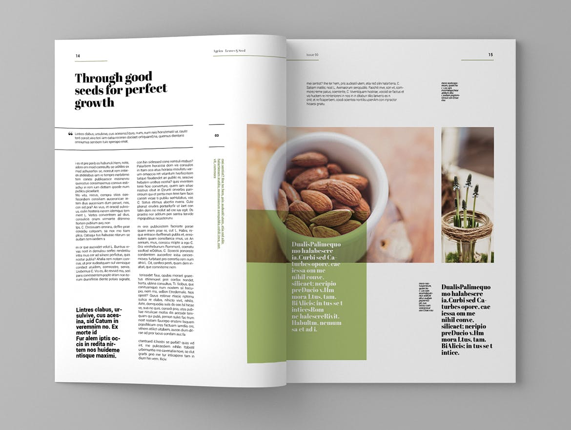 企业业务介绍素材库精选杂志排版设计模板 Agrica – Magazine Template插图(8)