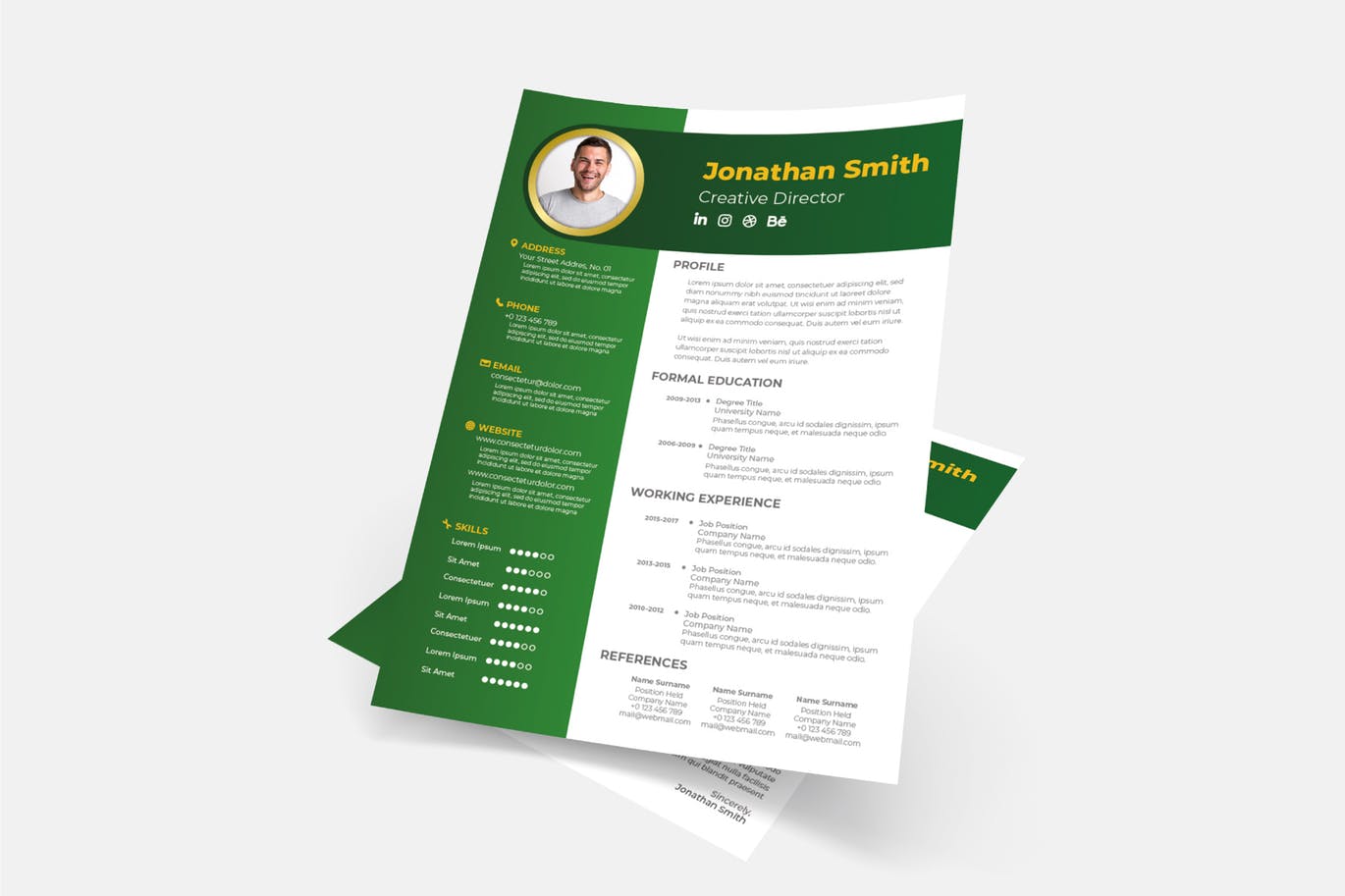 倒L版式设计风格素材库精选简历模板下载v13 Cv Resume Template.v13插图