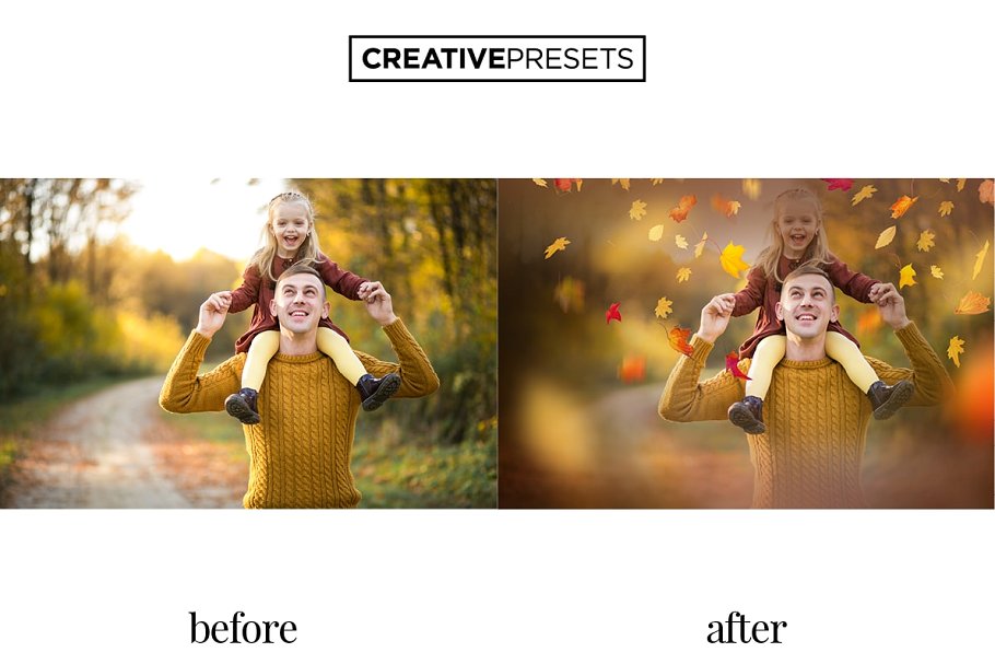 秋季枫叶落叶叠层背景 Falling Leaves Overlays插图(12)