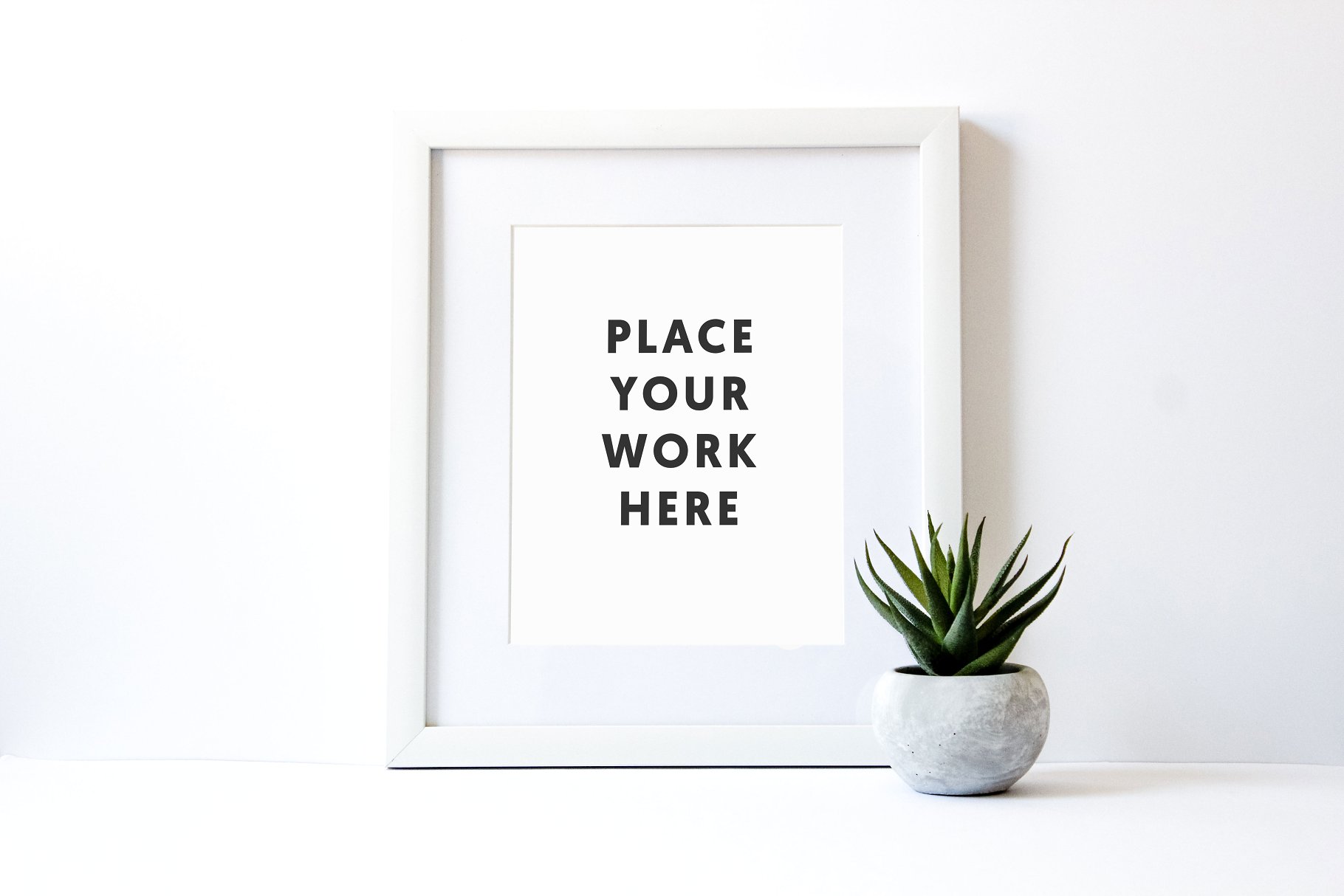 花式白框多肉值物场景样机 Styled White Frame with Succulent插图