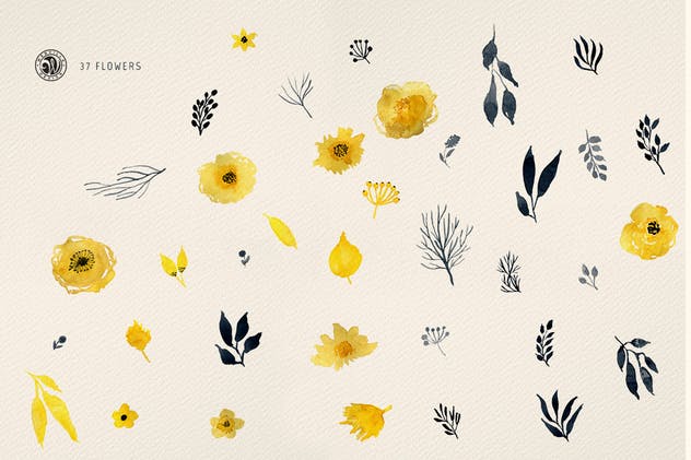 深色水彩花卉元素插画素材 Dark Watercolor Flowers插图(3)