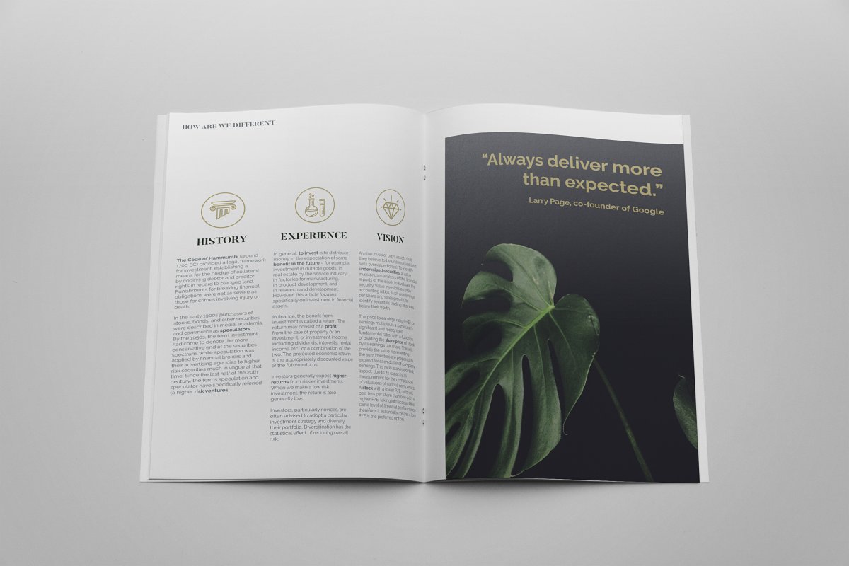 简约商业项目提案企业宣传册设计模板插图(2)