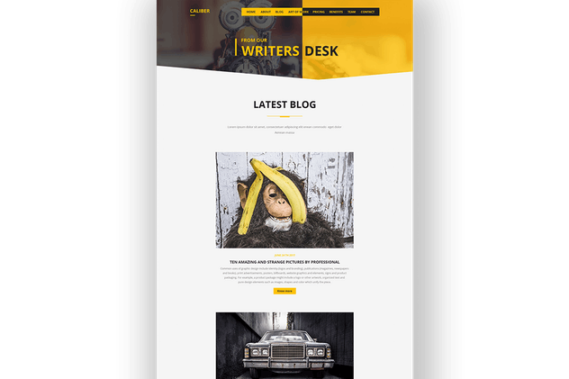 多用途品牌＆企业网站PSD模板素材 Caliber – Creative Multi Purpose PSD Template插图(9)