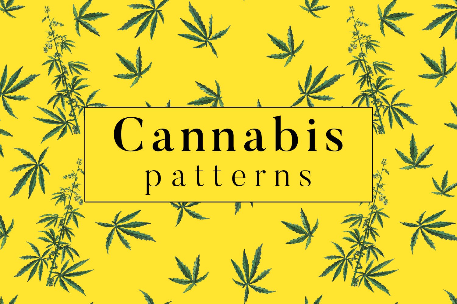 大麻叶子高清图案背景素材库精选 Cannabis Patterns插图