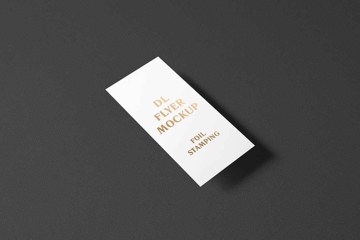 高端逼真质感得DL传单名片铝箔冲压特殊工艺VI样机展示模型mockups插图(4)