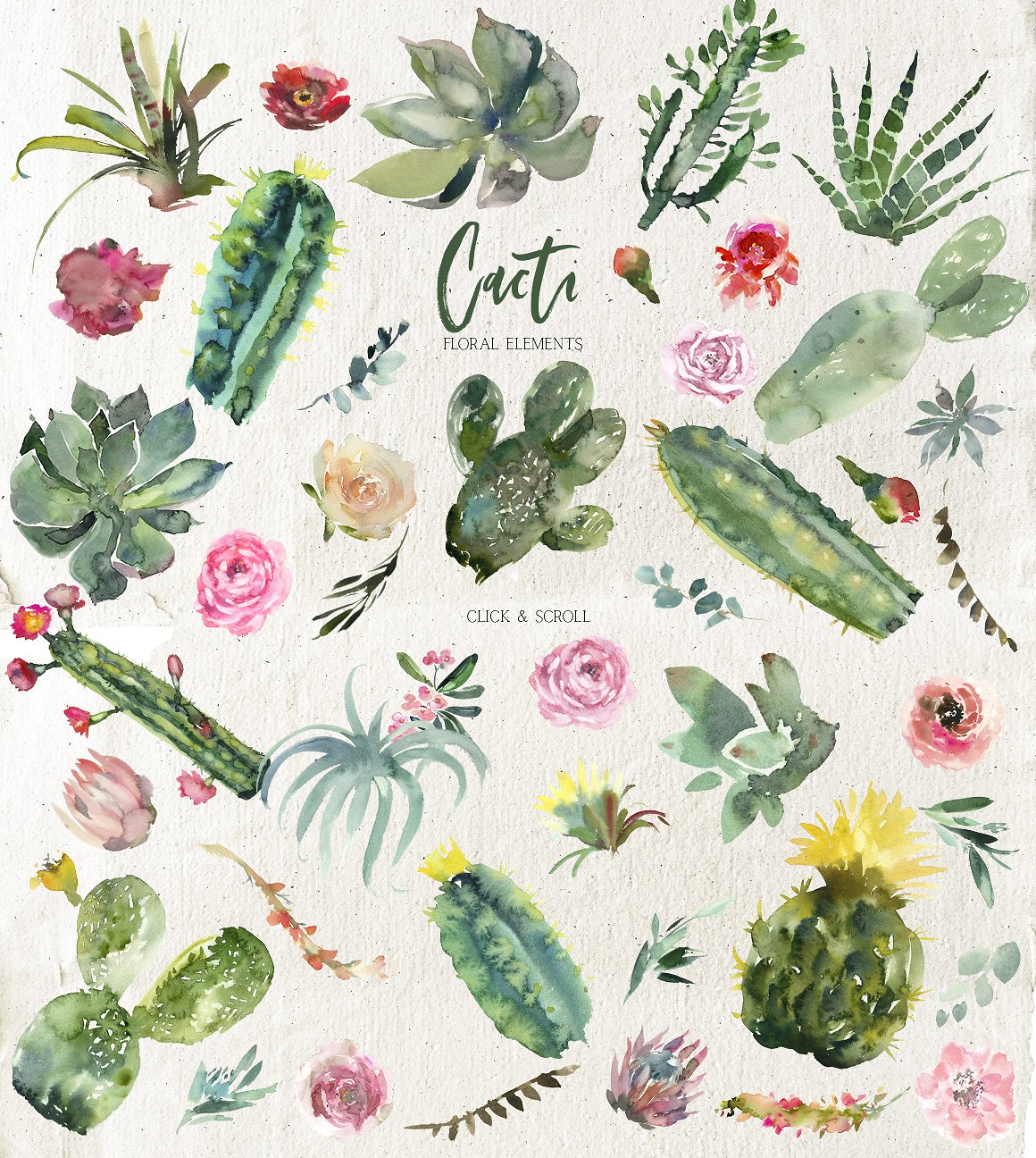 仙人掌水彩剪贴画 Cacti Watercolor Cactuses Clipart插图(12)