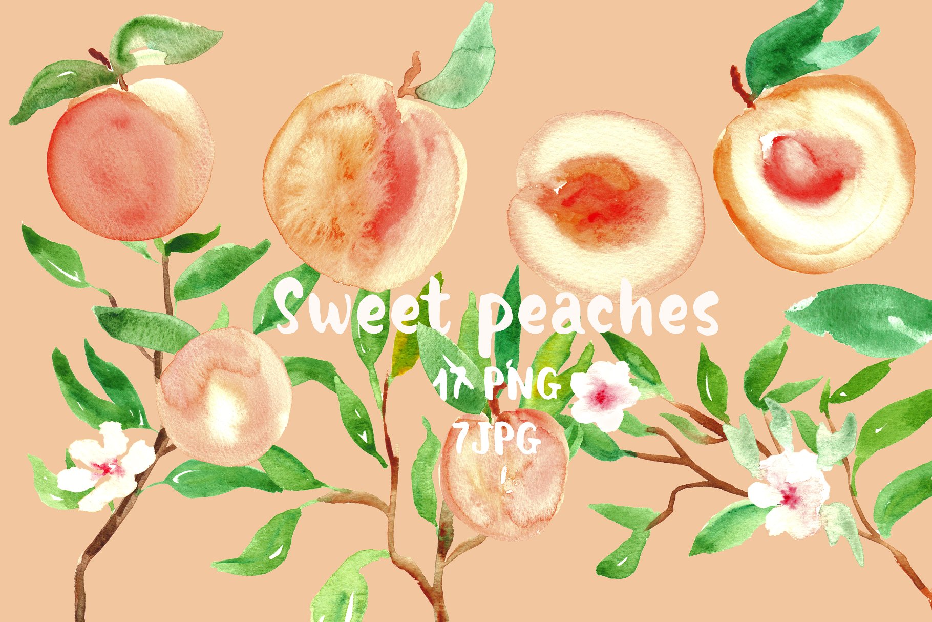 水蜜桃水彩剪贴画 Peach. Watercolor clipart.插图