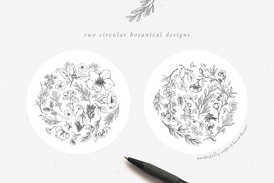 乡土气息植物、手绘字体&花卉字体 Botanical Illustrations & Monograms插图(15)