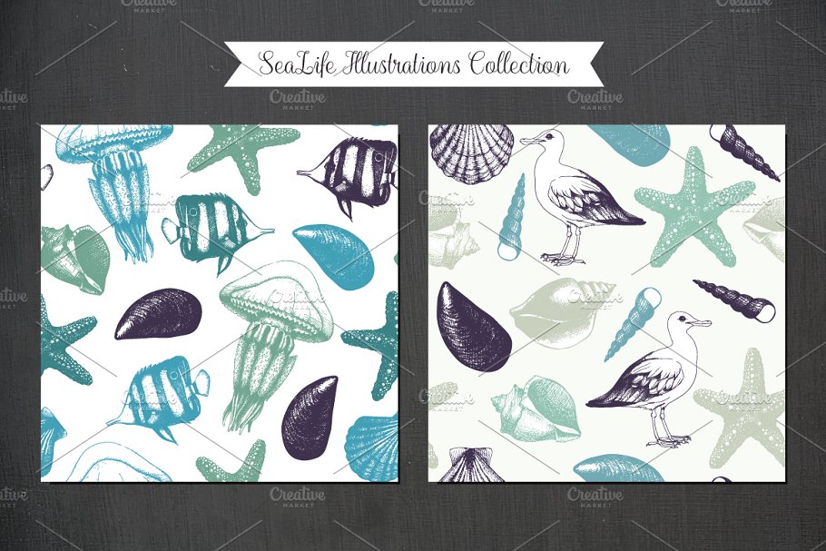 复古墨水手绘海洋生物插图 Vintage Sea Designs & Patterns插图(4)