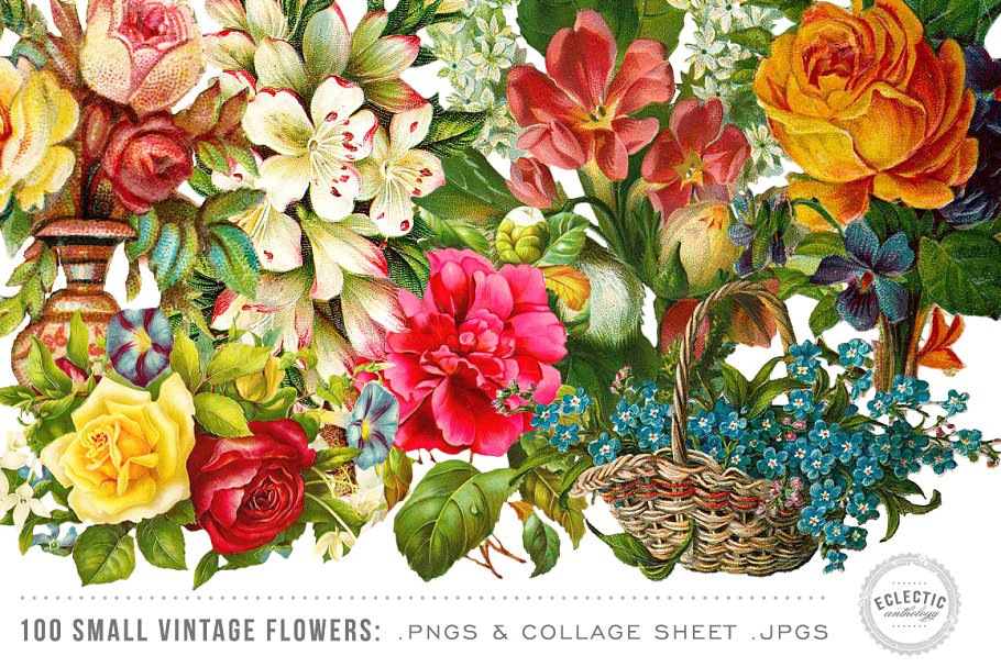 100张复古花卉插画剪贴画 100 Small Vintage Flower Graphics插图(2)
