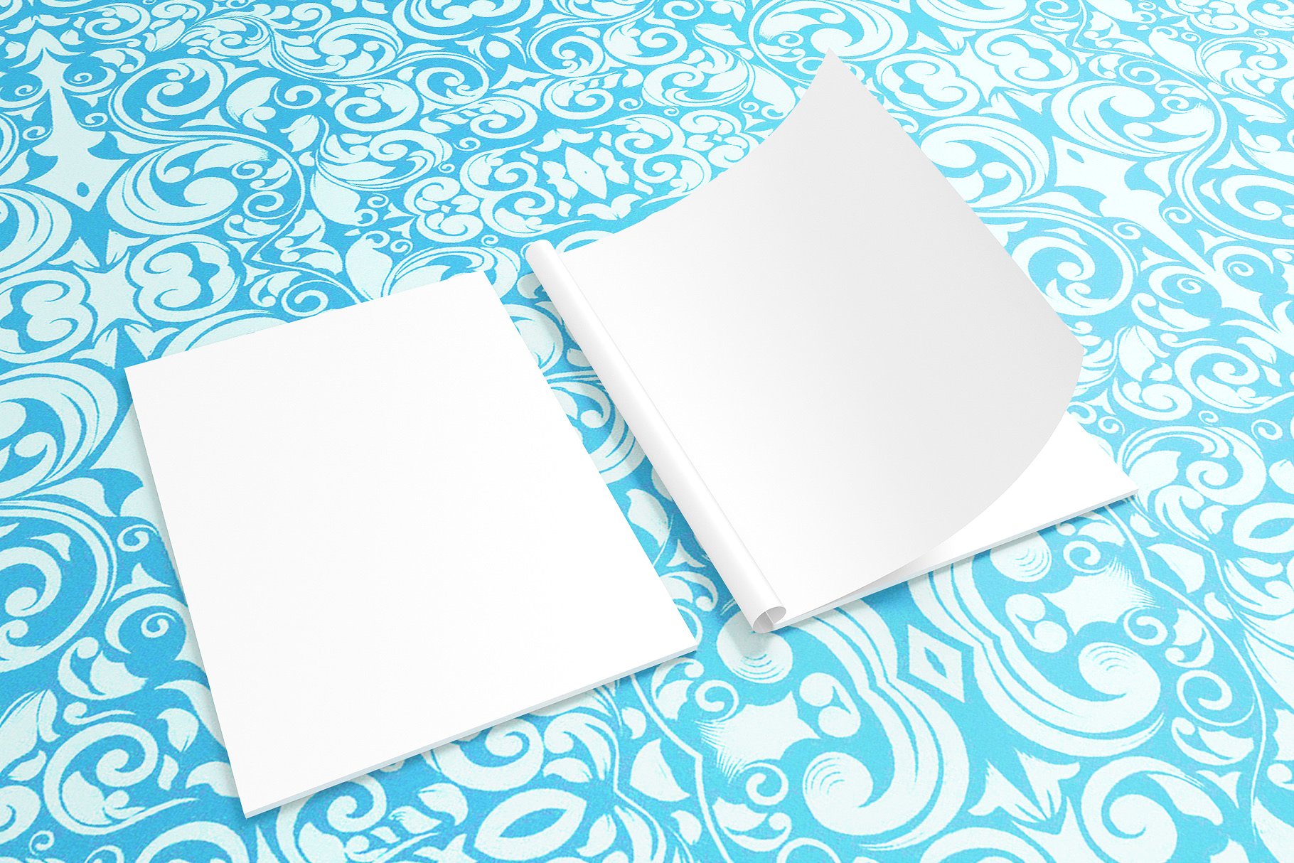 20个多角度小册子设计展示样机 20 Brochures Mockups Pack插图(16)