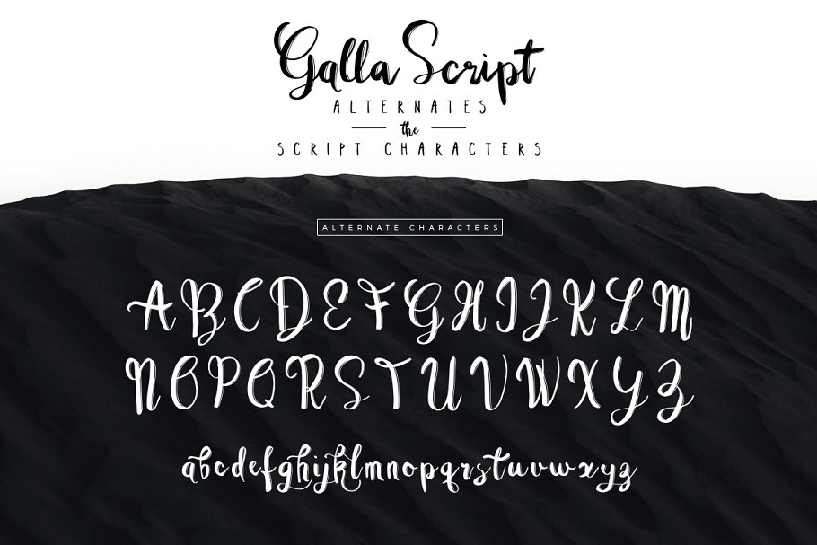 13款手写英文字体合集&Logo模板、矢量插画 Wonderland Fonts Pack & Branding Kit插图(92)