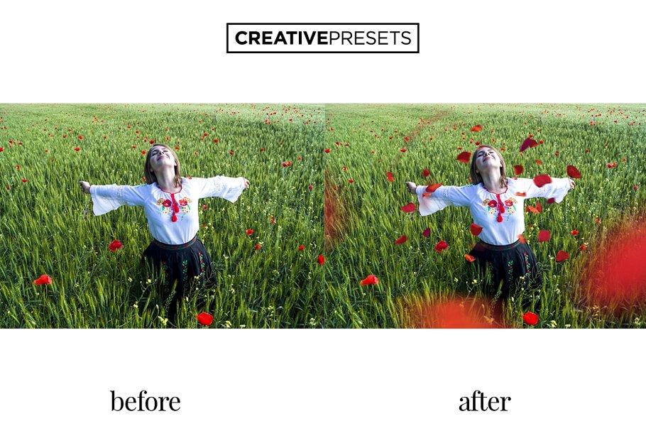 浪漫野生罂粟叶照片处理叠层 Wild Poppies Photo Overlays插图(8)