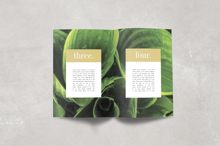 多用途的设计杂志模板 Minimalista Magazine插图(3)