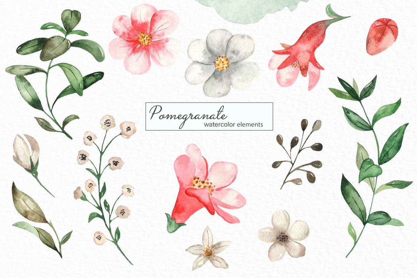 水彩石榴剪贴画/花框/花环素材库精选设计素材 Watercolor pomegranate. Clipart, frames, wreaths插图(4)