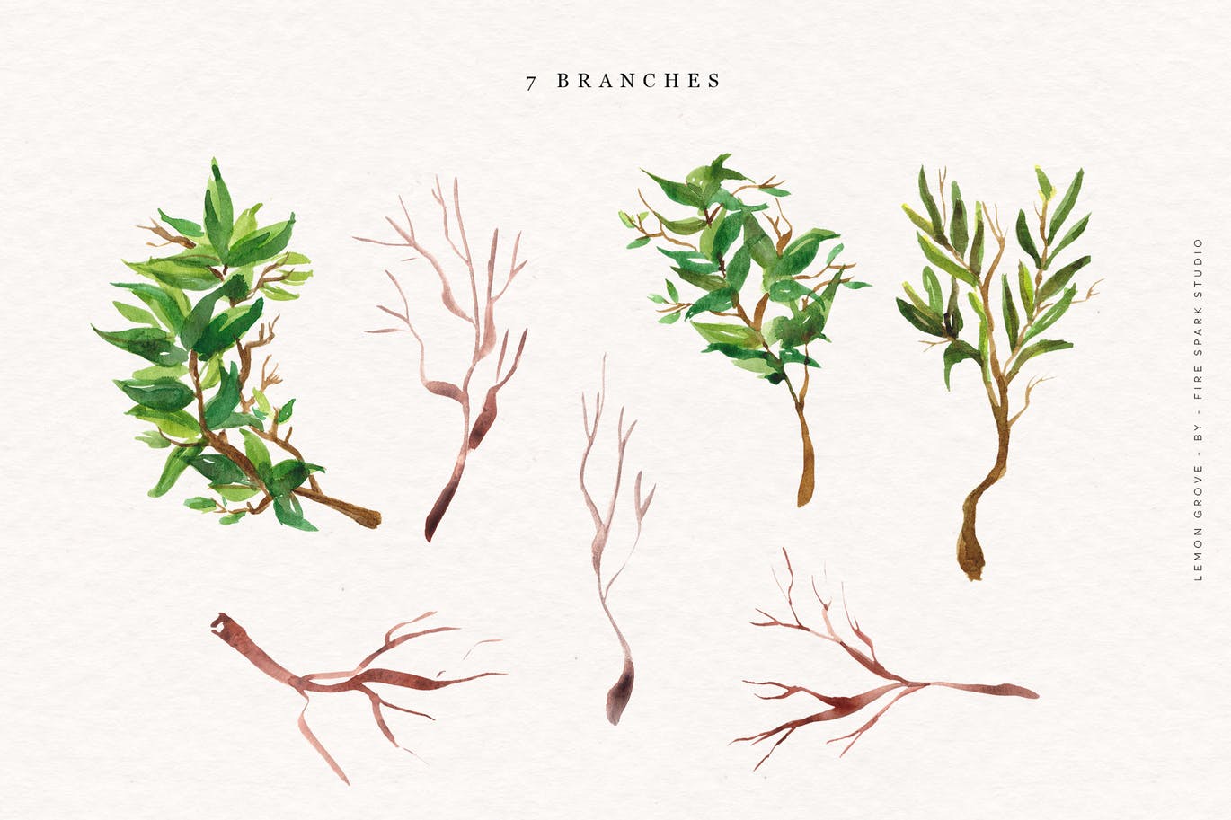 柠檬树水彩手绘矢量插画素材库精选素材 Lemon Grove Watercolor Illustrations插图(4)