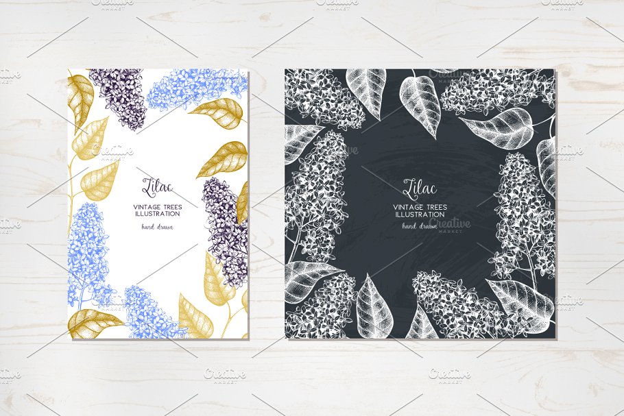 矢量淡紫色植物花卉插图集 Vector Lilac Illustrations Set插图(3)