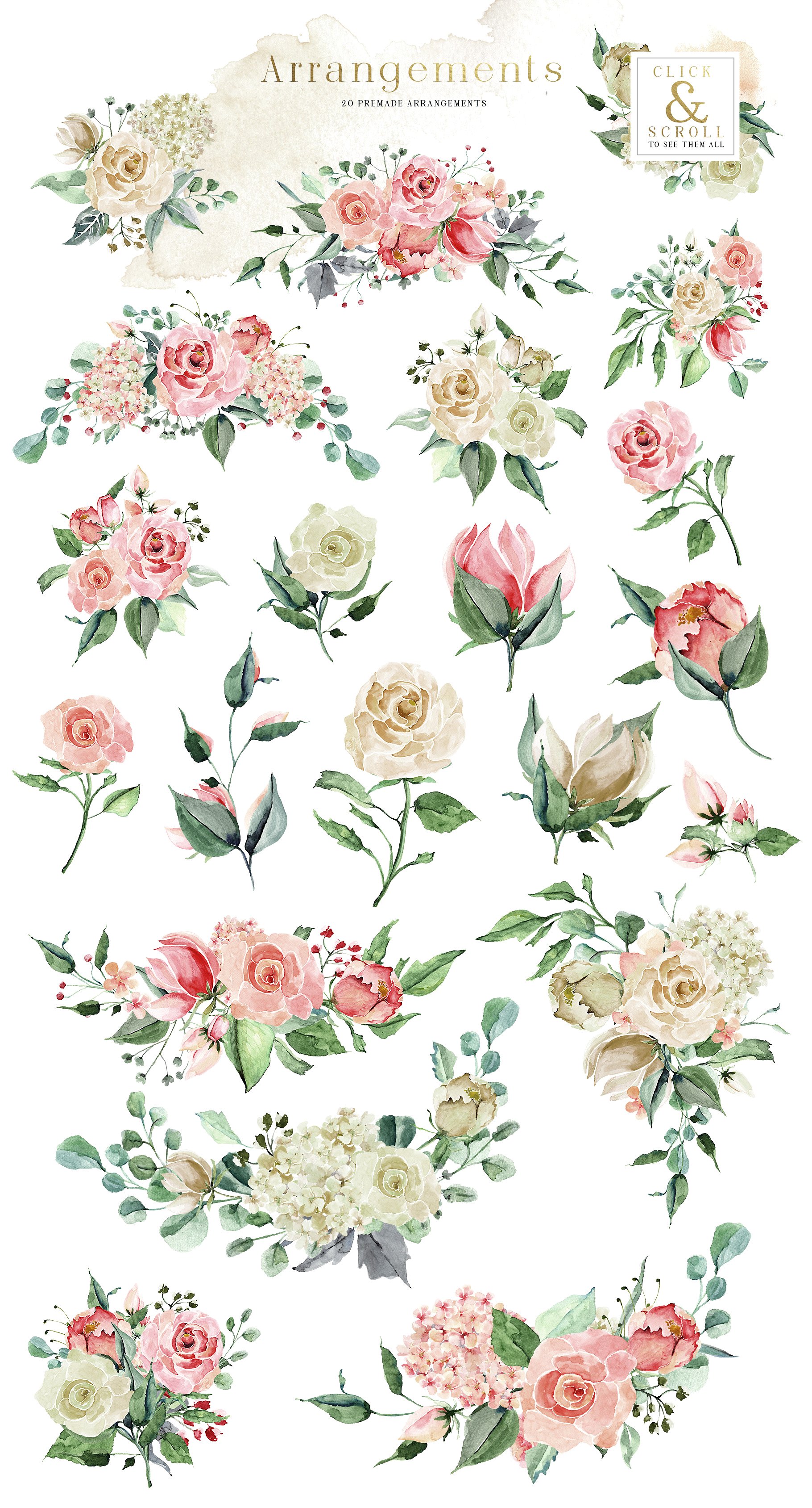 胭脂红玫瑰水彩剪贴画 Creme & Rose Watercolor Set插图(9)