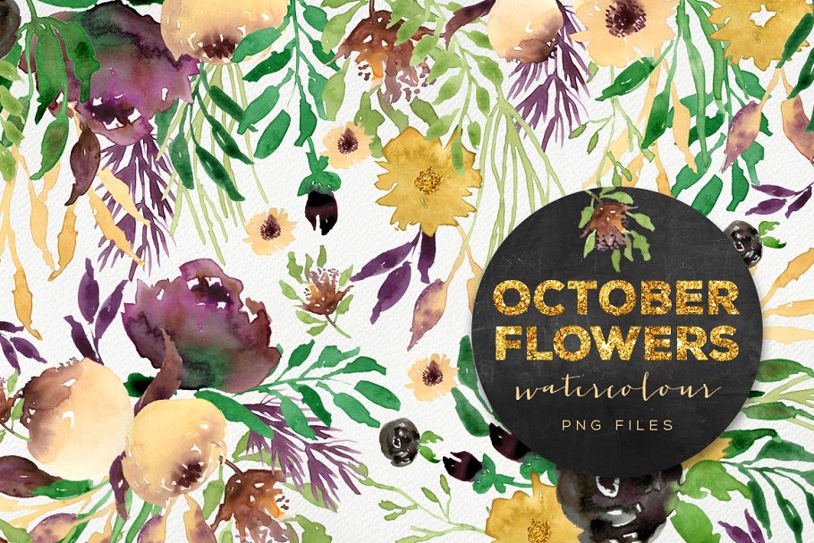 手绘水彩秋季鲜花图形元素 October Flowers插图