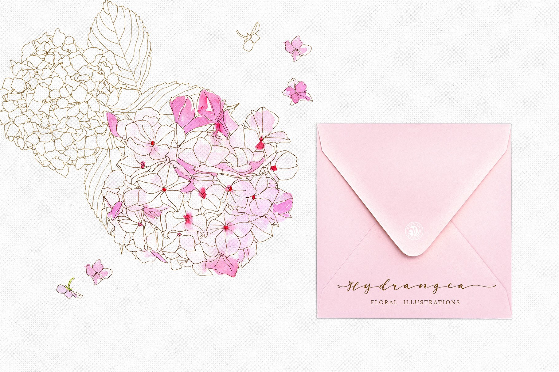 手绘绣球花水彩花卉剪贴画合集 Hydrangea – watercolor and ink插图(1)